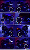 MEGA MOTOR ŚCIGACZ STRONG 2 EXCLUSIVE, ŚWIECĄCE KOŁA, GAZ W MANETCE, HAMULEC/DLS07