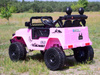 TOYOTA FJ CRUISER NA AKUMULATOR WERSJA  4X4, 180 WAT/JJ2099