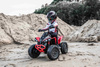 ORYGINALNY QUAD CAN AM MAVERICK ATV 4X4, PILOT, AMORTYZATORY, PASY BEZPIECZEŃSTWA/DK-CA002