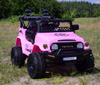TOYOTA FJ CRUISER NA AKUMULATOR WERSJA  4X4, 180 WAT/JJ2099