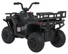 Pojazd Quad ATV Robust 01 Czarny