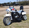 MOTOR CHOPPER Z OPARCIEM, WARKIEM SILNIKA/TR1501