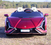 ORYGINALNE LAMBORGHINI SIAN NA AKUMULATOR,  WERSJA Z MIEJSCEM DLA RODZICA/QLS6988