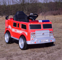 STRAŻ POŻARNA NA AKUMULATOR Z GAŚNICĄ I KOGUTAMI/P17